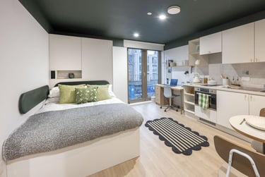 1 bed studio, Lower Gilmore Place, Fountainbridge, Edinburgh, EH39NY - Image 10